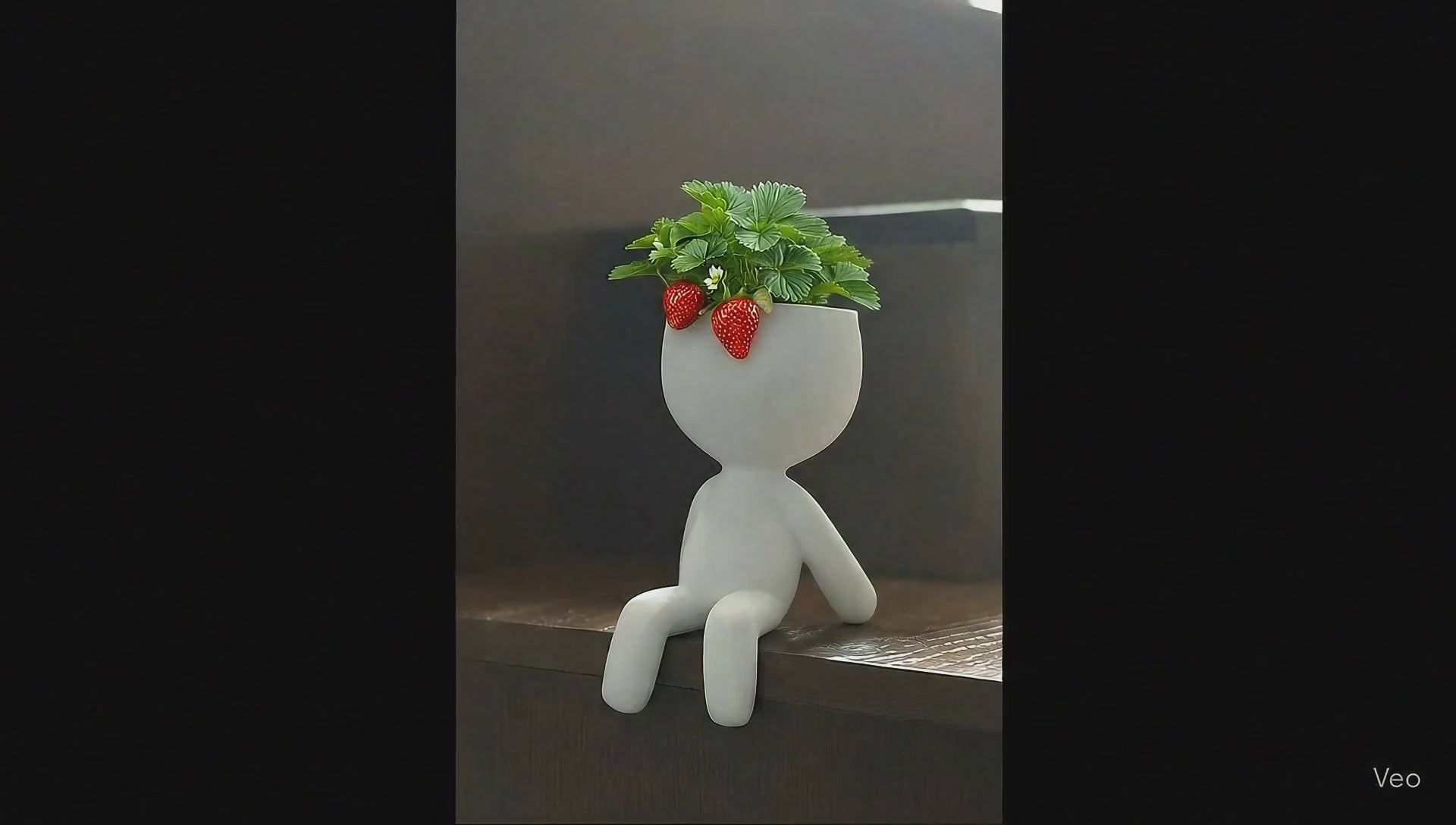 app educativa, maceta educativa